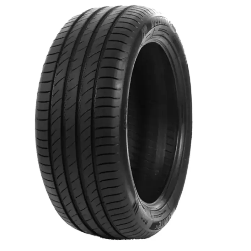 DELINTE DS2 225/45R19 96W XL BSW Sonderangebot