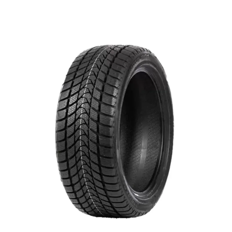 DELINTE WINTER WD1 215/65R16 98H BSW Must-Have